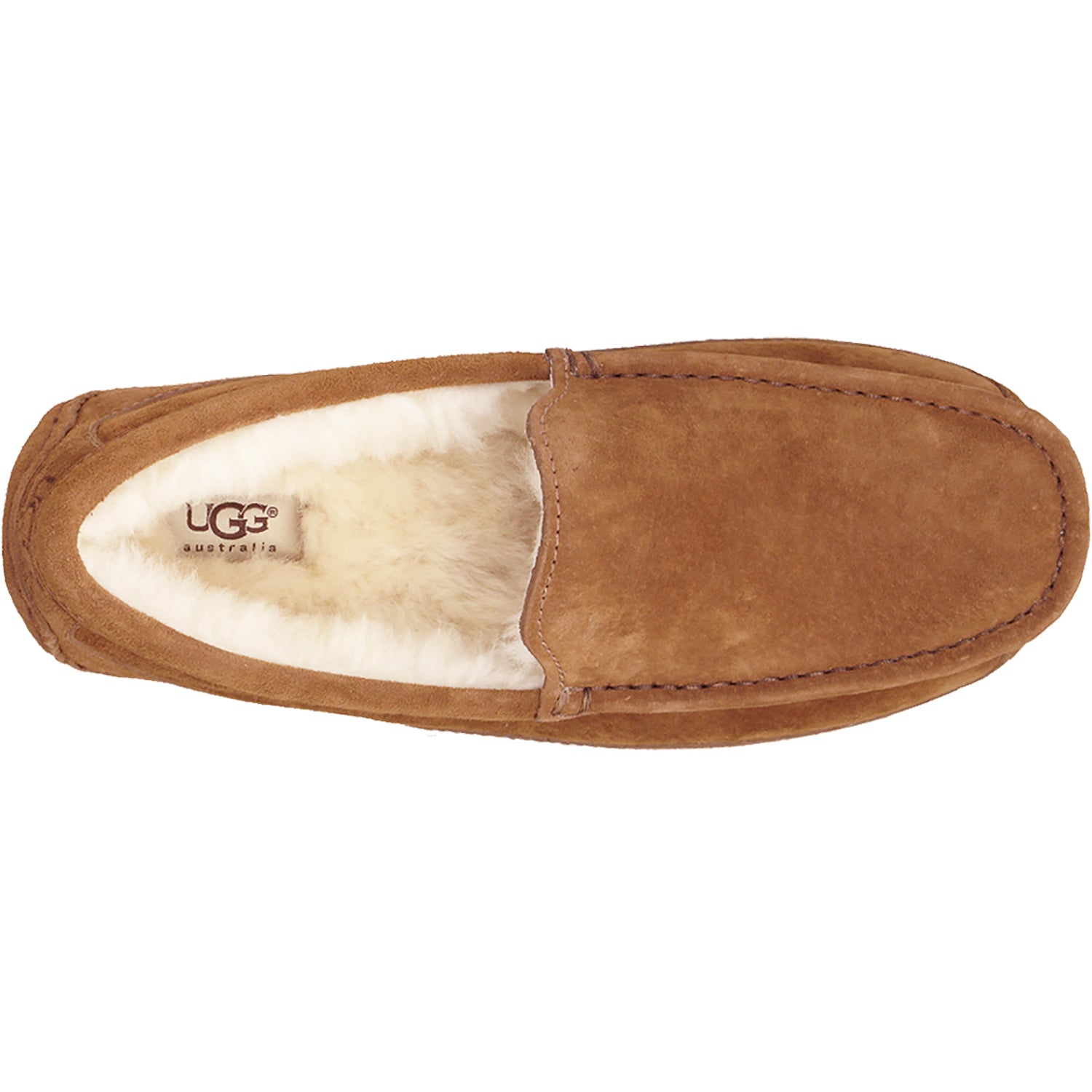 Mens Ugg Men's UGG Ascot Chestnut Suede Chestnut Suede