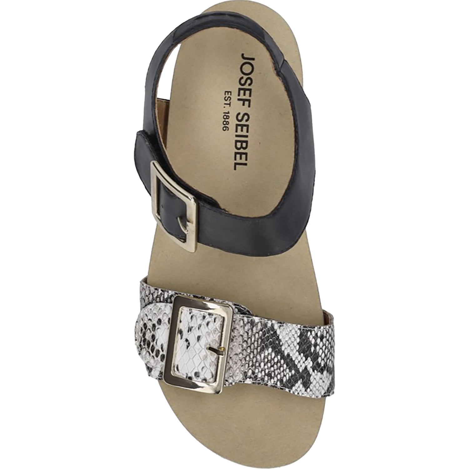 Womens Josef seibel Women's Josef Seibel Quinn 02 Black Snake Black Snake