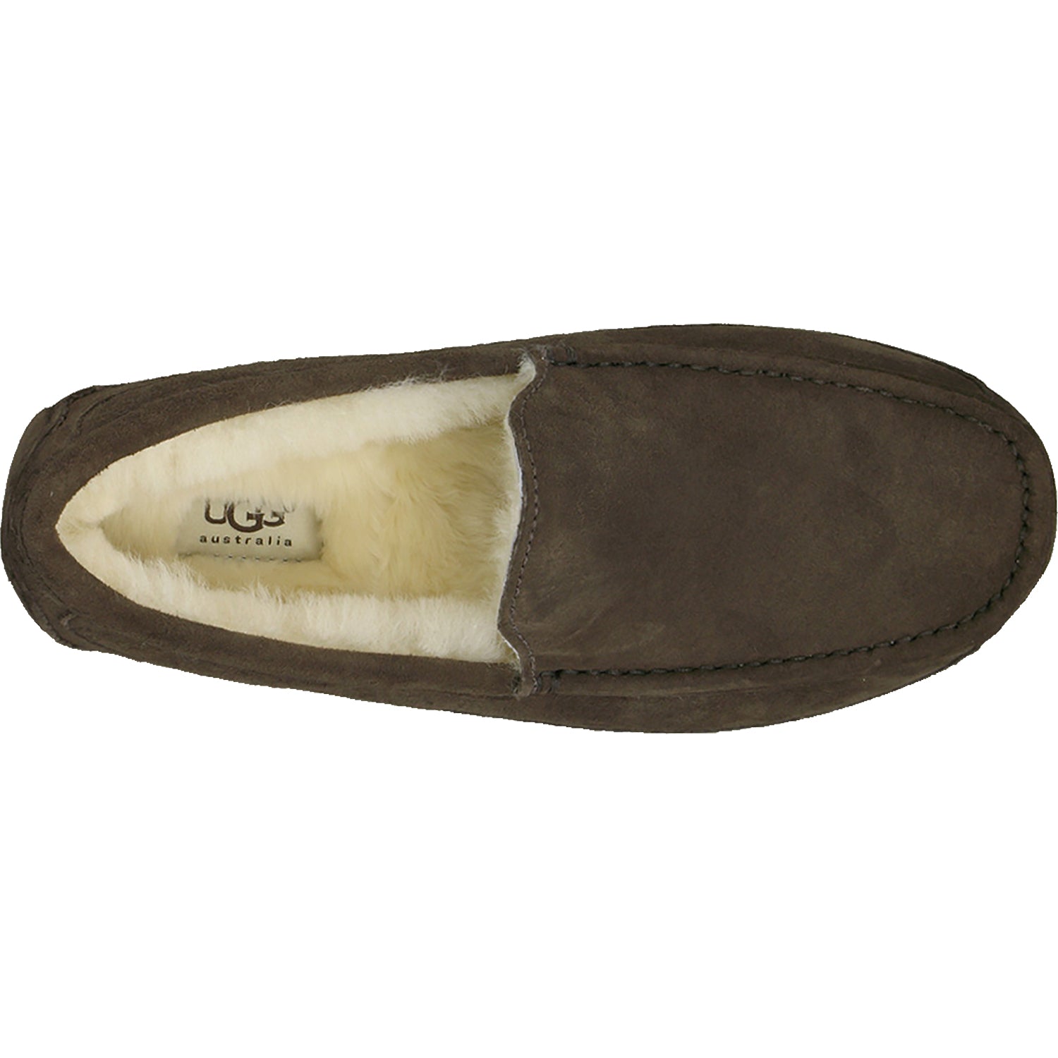 Mens Ugg Men's UGG Ascot Espresso Suede Espresso Suede