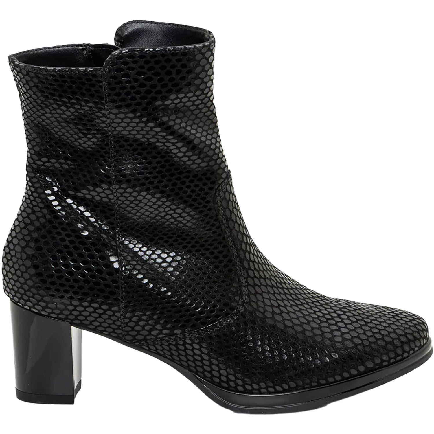 Womens Ara shoes Women's Ara Osmanthus Black Snake Print Black Snake Print
